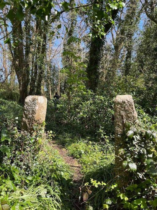 Apartment Stepping Stones - Lelant, Nr *