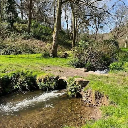 Stepping Stones Cottage - Lelant, Nr St Ives Buitenkant foto
