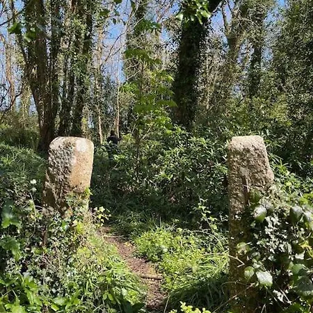 Stepping Stones Cottage - Lelant, Nr St Ives Buitenkant foto